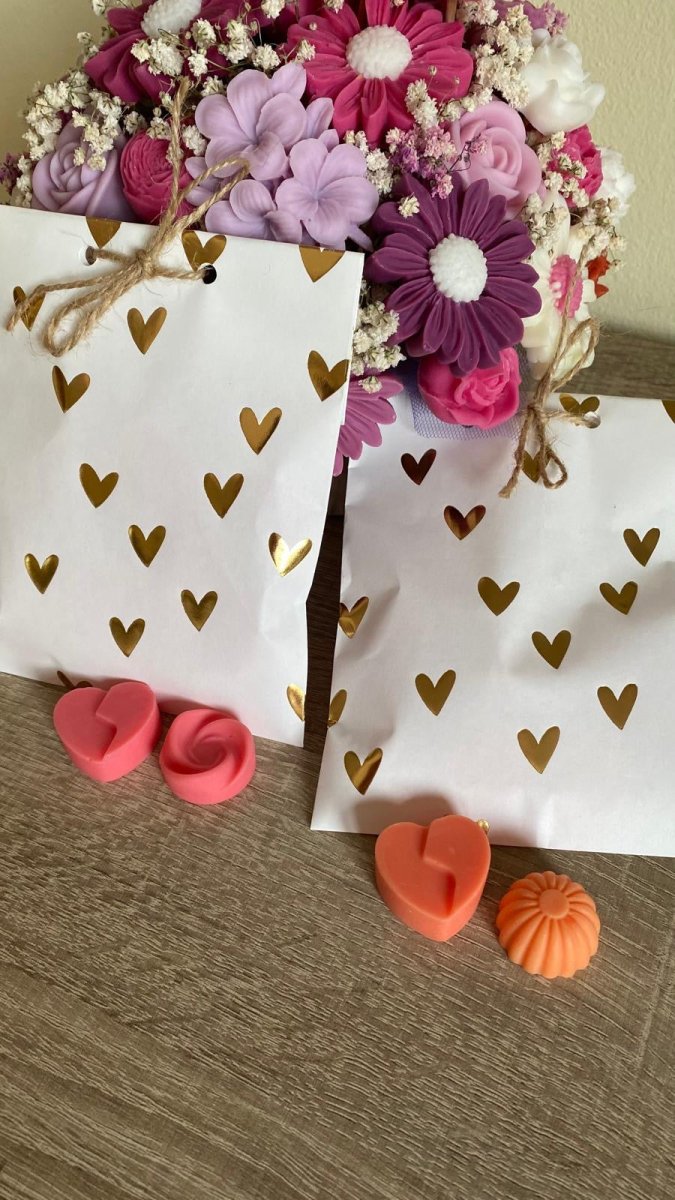 Sobres 50 gr Wax Melts - Seasons Box Shop