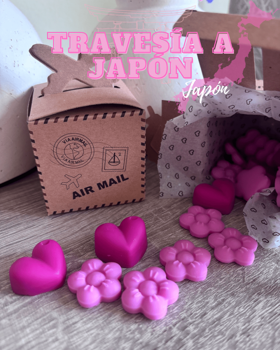 Wax Melts Aromas del Mundo | Pack Colección Limitada - Seasons Box Shop